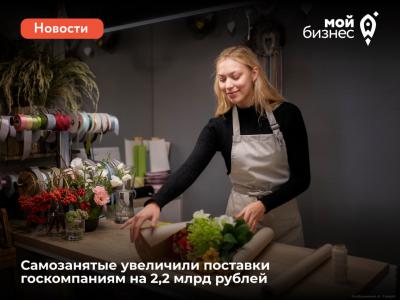 Самозанятые увеличили поставки госкомпаниям на 2,2 миллиарда рублей